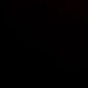 12 inch gordon the shark squishmallow